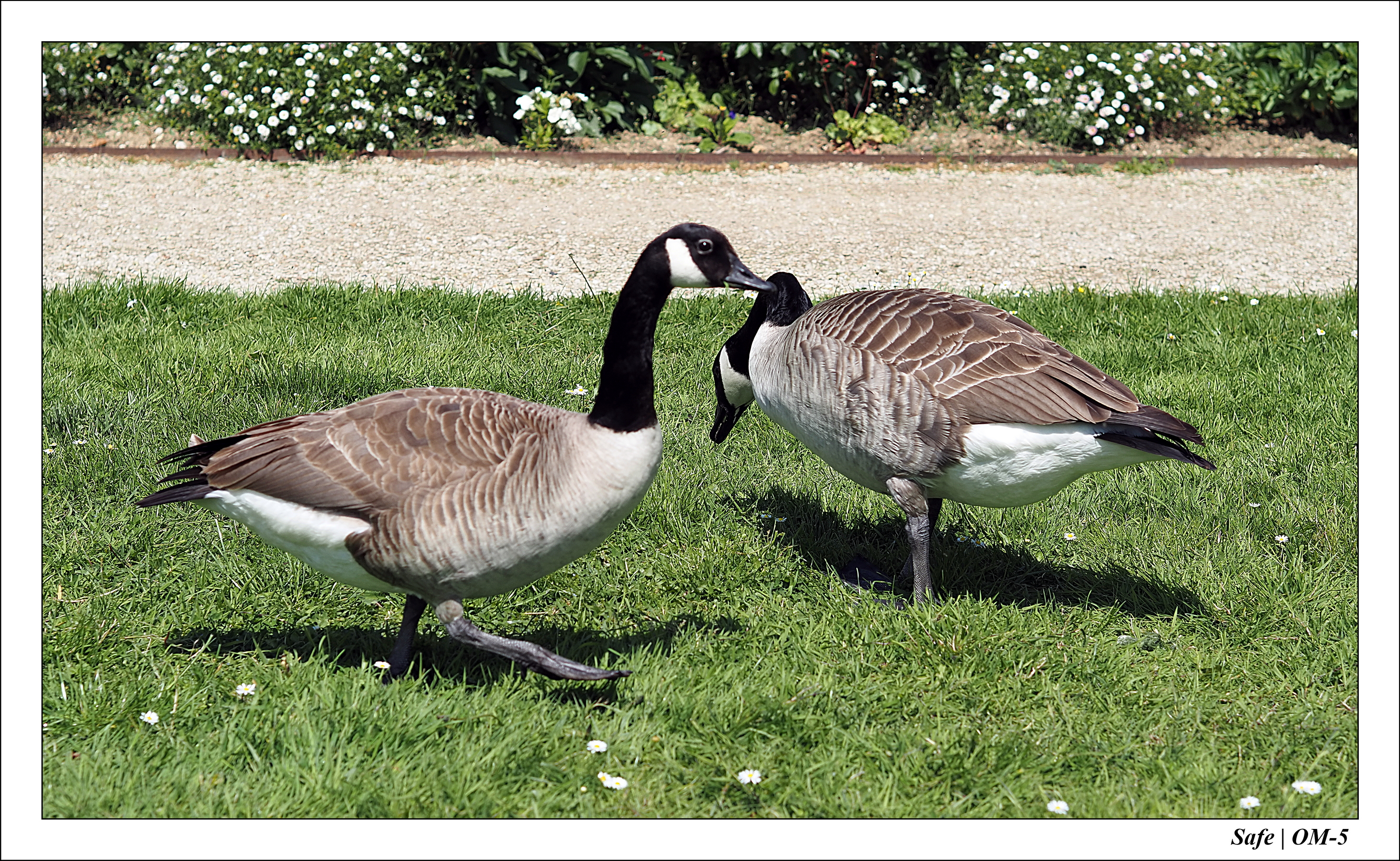 2024 - 05 - Bagatelle - 19